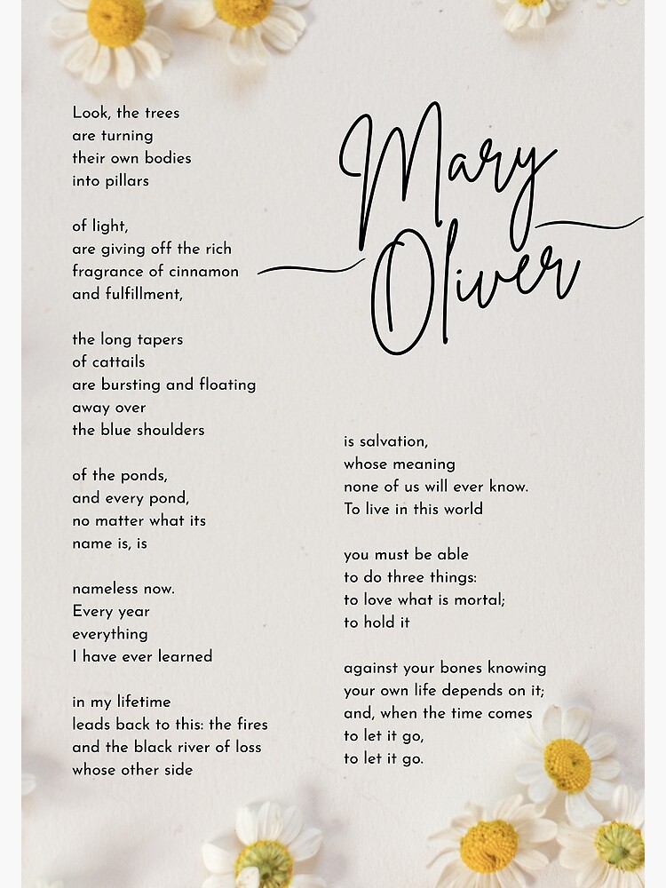 Thumbnail 3 of 3, Poster, Mary Oliver Inspiring Poetry: In Blackwater Woods designed and sold by Poeticrituation.