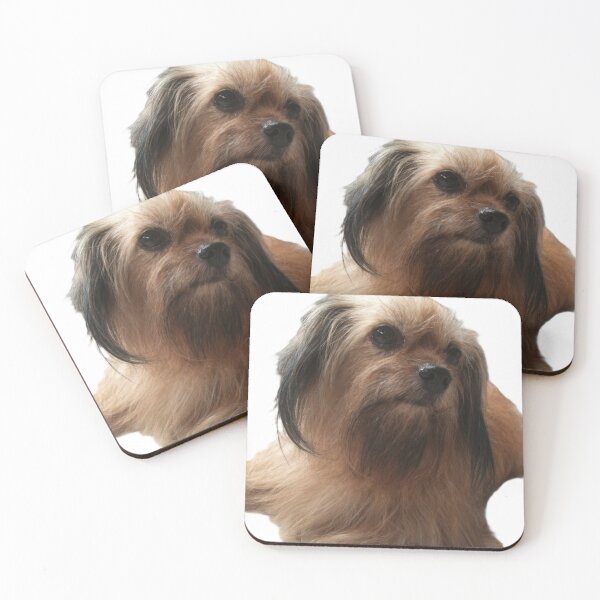 Item preview, my little best friend, portrait of a dog, A small brown dog lay down designed and sold by pipikijung.