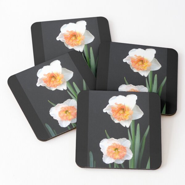 Item preview, Ruffled White and Orange Daffodils designed and sold by JoyousArt4u.