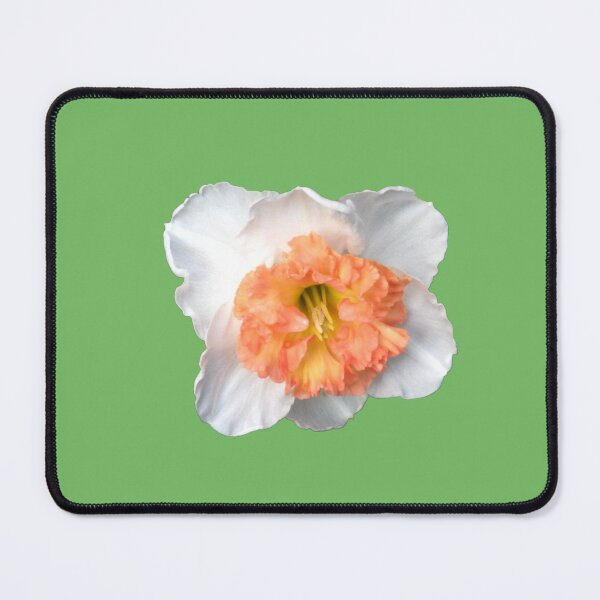 Item preview, Ruffled White and Orange Daffodil Die Cut designed and sold by JoyousArt4u.