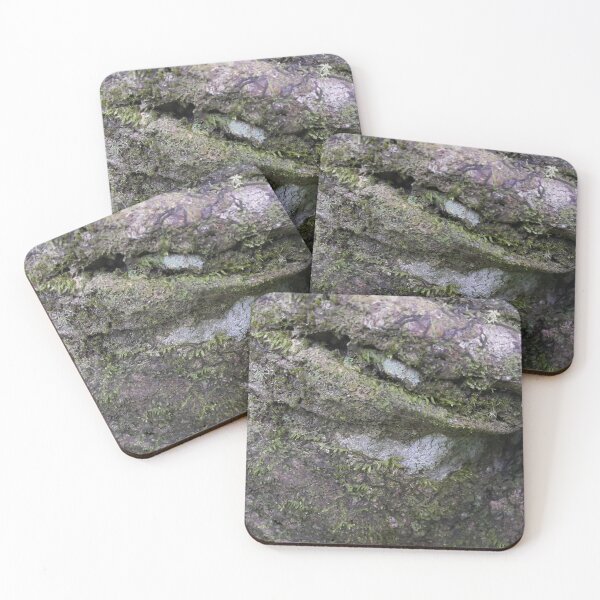 Item preview, Moss on a tree | Nature Photography designed and sold by Yusuf-Design.