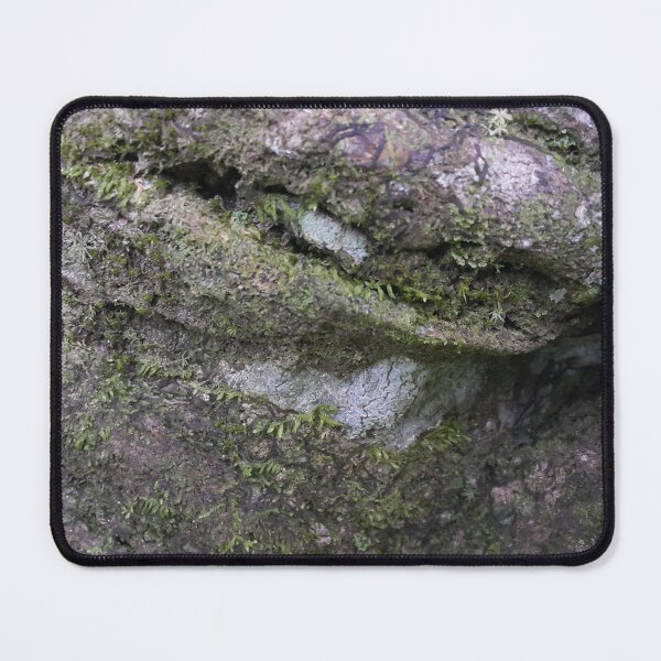 Item preview, Moss on a tree | Nature Photography designed and sold by Yusuf-Design.
