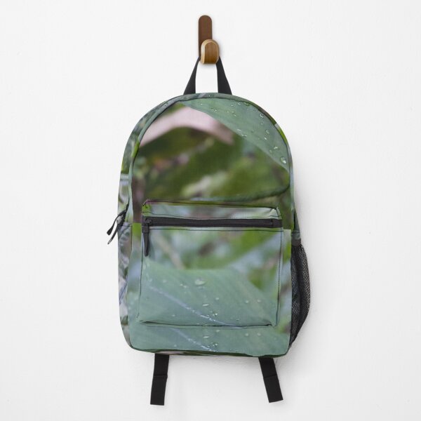 Item preview, Dewdrops on leaves  ||  Nature photography designed and sold by Yusuf-Design.