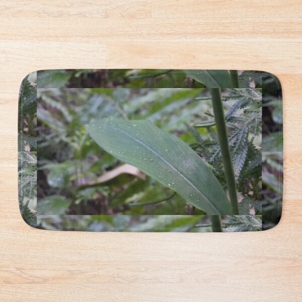 Item preview, Dewdrops on leaves  ||  Nature photography designed and sold by Yusuf-Design.