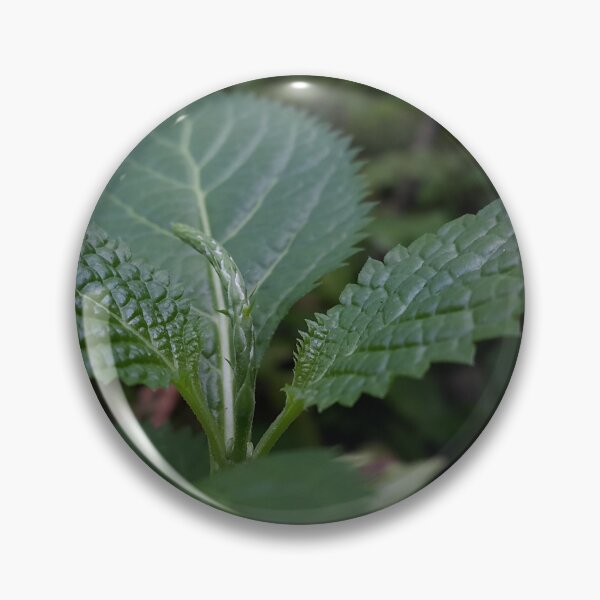 Item preview, Beautiful green leaf texture ||  Nature photography designed and sold by Yusuf-Design.