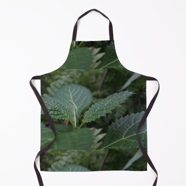Item preview, Beautiful green leaf texture ||  Nature photography designed and sold by Yusuf-Design.