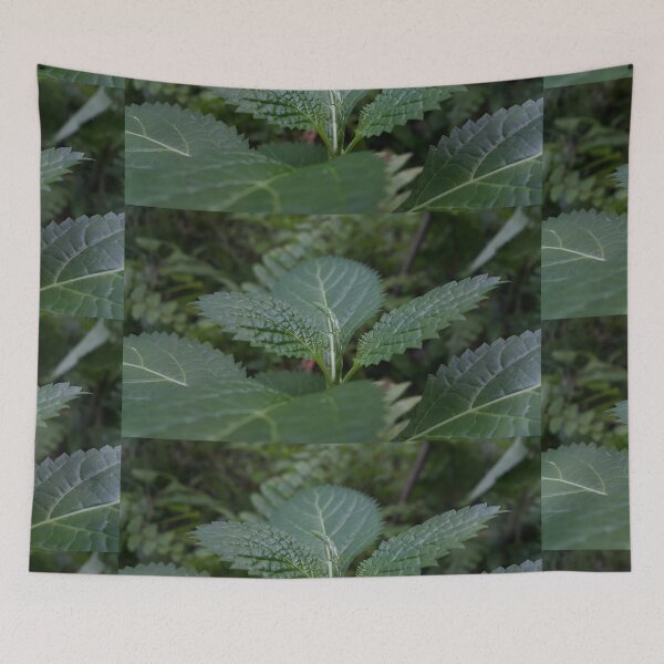 Item preview, Beautiful green leaf texture ||  Nature photography designed and sold by Yusuf-Design.