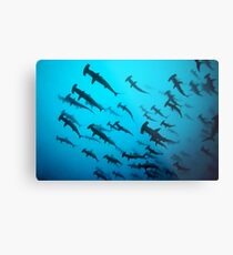 Thriller Metal Print