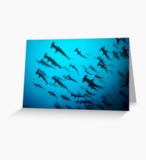 Thriller Greeting Card