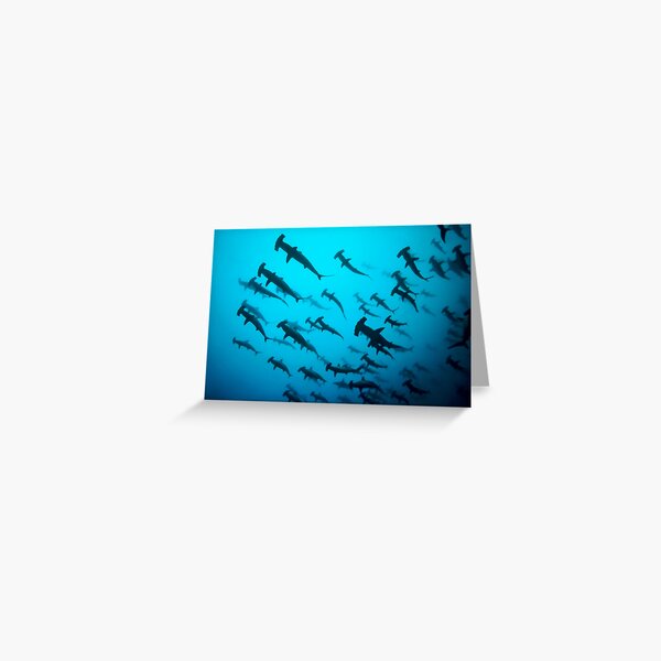 Thriller Greeting Card