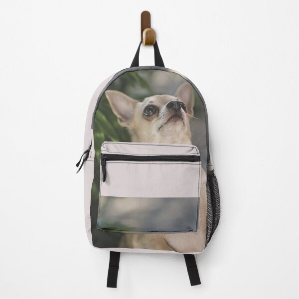 Item preview, Beige cute Chihuahua, little dog designed and sold by GiiReez.