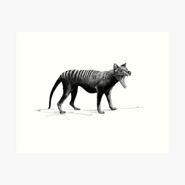 Item preview, Thylacine designed and sold by bridgetuppill.