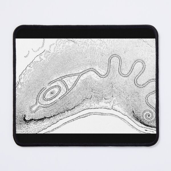 Item preview, WH Holmes- 1886-sketch the Great Serpent Mound designed and sold by Earth Nature Creations.