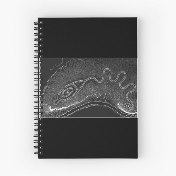 Item preview,  WH Holmes- 1886-sketch the Great Serpent Mound designed and sold by Earth Nature Creations.