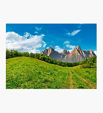 forest on grassy hillside in tatras Photographic Print