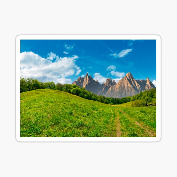 forest on grassy hillside in tatras Sticker