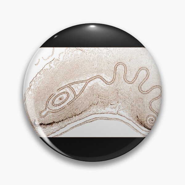 Item preview, WH Holmes- 1886-sketch the Great Serpent Mound in Sepia designed and sold by Earth Nature Creations.