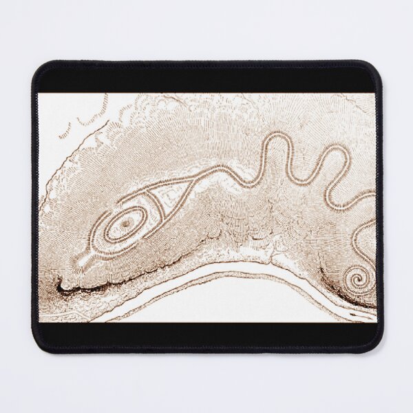 Item preview, WH Holmes- 1886-sketch the Great Serpent Mound in Sepia designed and sold by Earth Nature Creations.