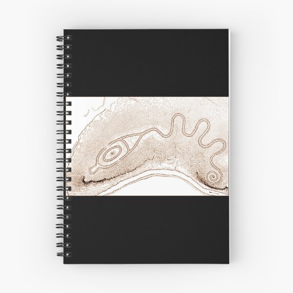 Item preview, WH Holmes- 1886-sketch the Great Serpent Mound in Sepia designed and sold by Earth Nature Creations.