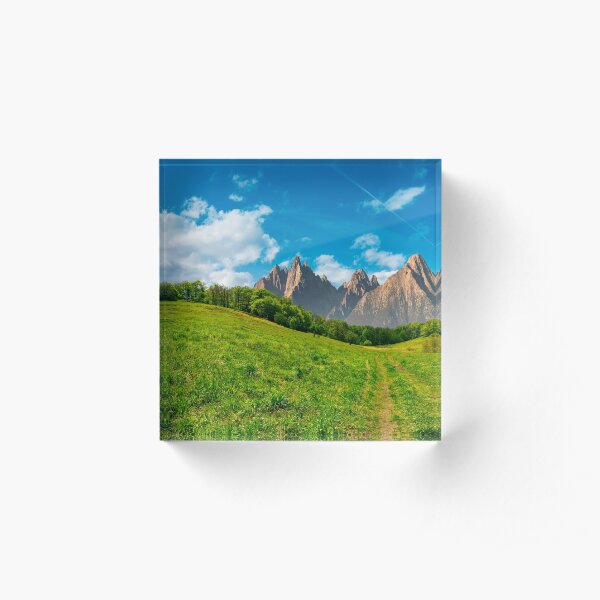forest on grassy hillside in tatras Acrylic Block