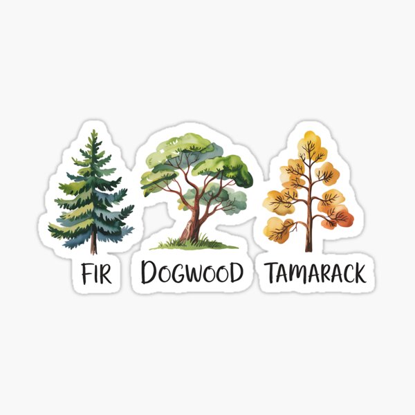 Vista previa del artículo con la obra «Abeto Cornejo Alerce Árbol Sutil Anti Trump», diseñado y vendido por ChicTeeshop.