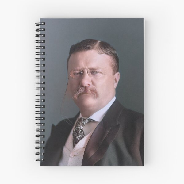 Item preview, Theodore Roosevelt in 1904 designed and sold by 19th Century in Color.
