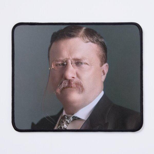 Item preview, Theodore Roosevelt in 1904 designed and sold by 19th Century in Color.