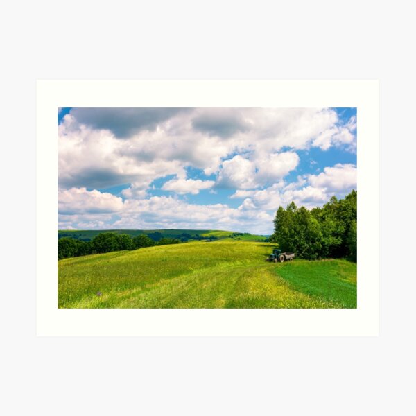 agricultural fields on hills Art Print