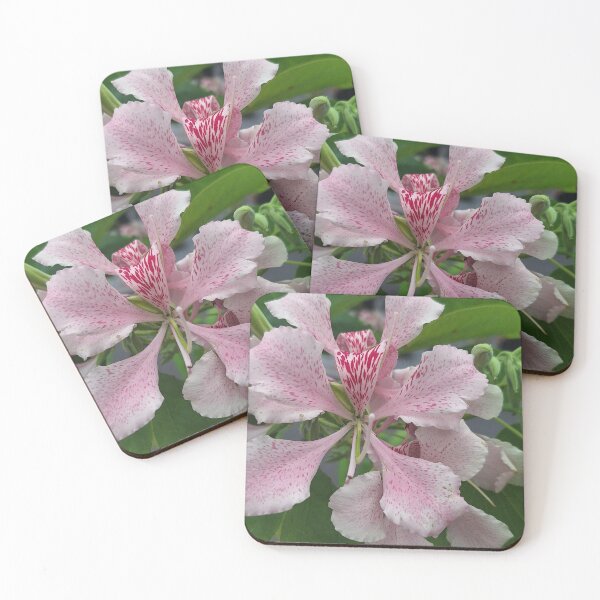 Item preview, Pink Bauhinia designed and sold by Quantum-Life.