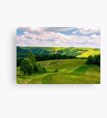 agricultural fields on hills Canvas Print