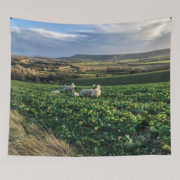 Item preview, Sheep in a turnip field designed and sold by karenadams.