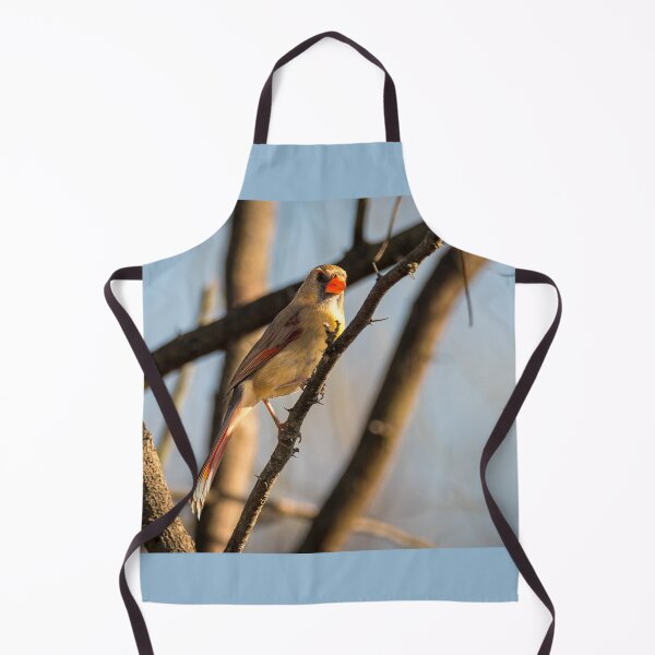 Item preview, Pretty Mrs Cardinal designed and sold by Debra Martz.