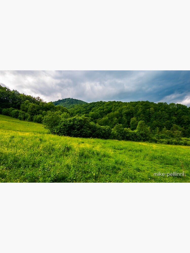 grassy pasture near the forest in stormy weather by mike-pellinni