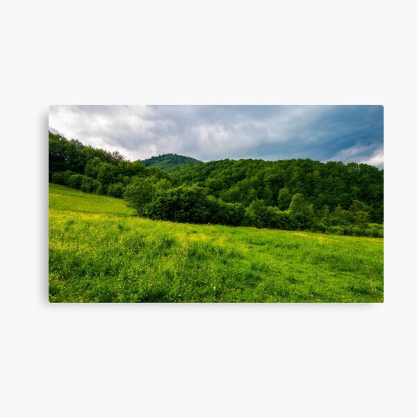 grassy pasture near the forest in stormy weather Canvas Print