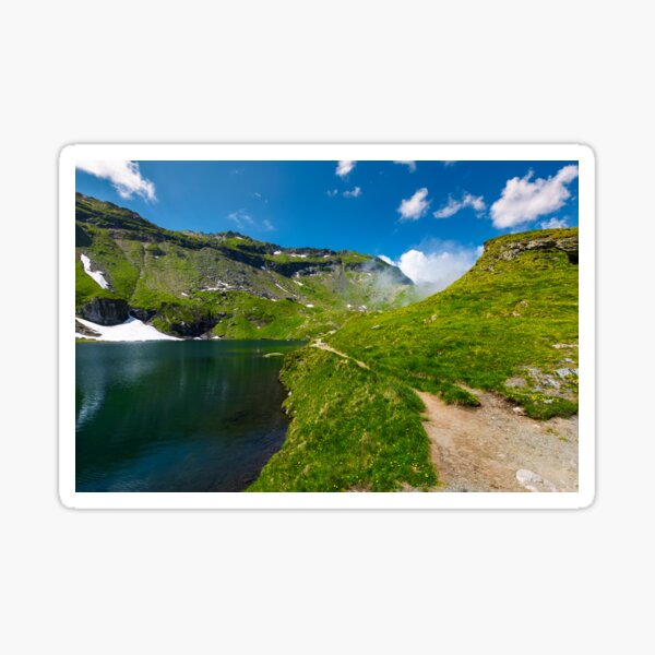 shore of a glacier among the grassy slopes Sticker