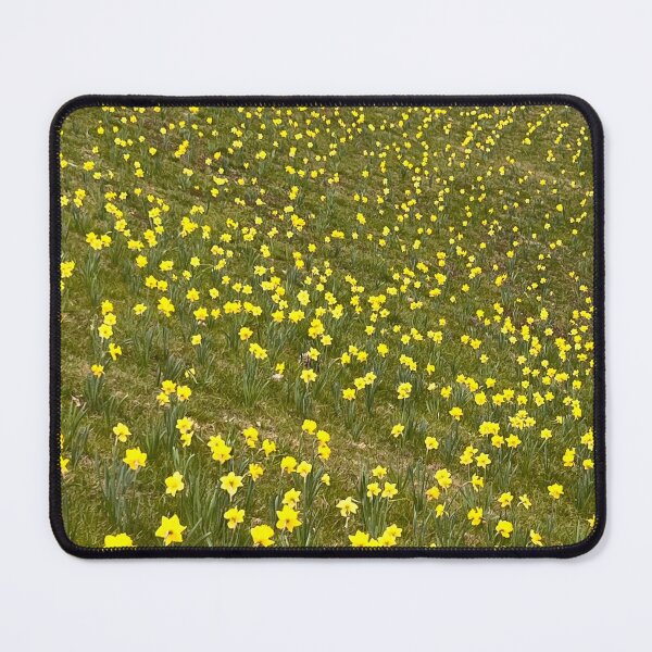 Item preview, daffodil fields forever designed and sold by abby cartwright.