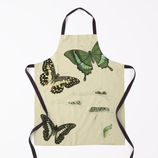 Item preview, Butterfly Vintage Illustrations designed and sold by CoconutArt10.