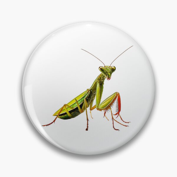 Item preview, Praying Mantis Portrait Design designed and sold by Futurebeachbum.