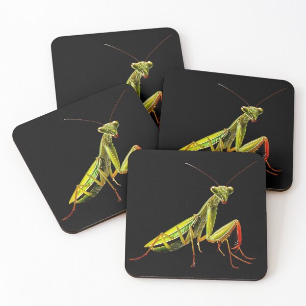 Item preview, Praying Mantis Portrait Design designed and sold by Futurebeachbum.