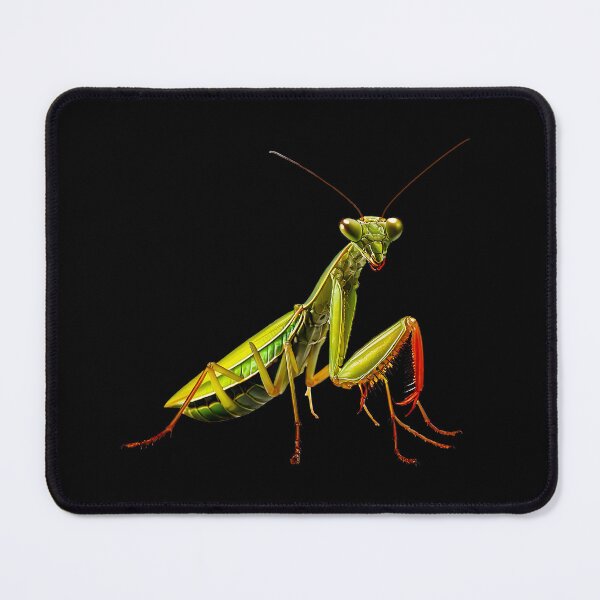 Item preview, Praying Mantis Portrait Design designed and sold by Futurebeachbum.