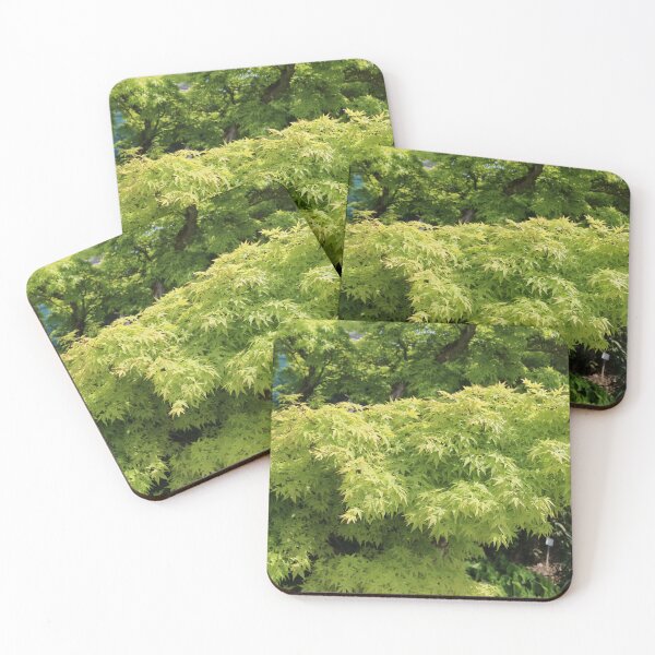 Item preview, Art by Mike Photography Photo Botany Flowers Leaves on Tree Trunk designed and sold by allartbymike.