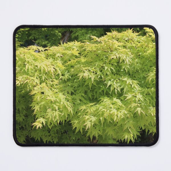 Item preview, Art by Mike Photography Photo Botany Flowers Leaves on Tree Trunk designed and sold by allartbymike.