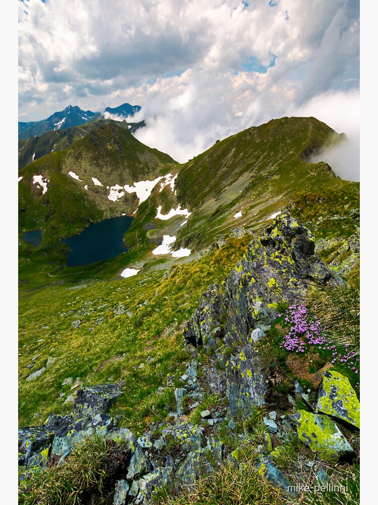 saua caprei peak of Fagarasan mountains by mike-pellinni