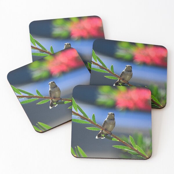Item preview, A Perched Hummingbird designed and sold by LisaWootenPhoto.