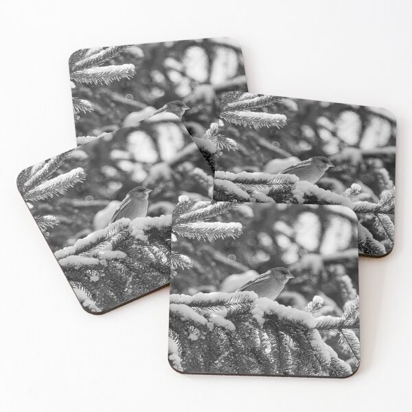 Item preview, The greener one. Greenfinch bw designed and sold by Jouko Lehto Photography.