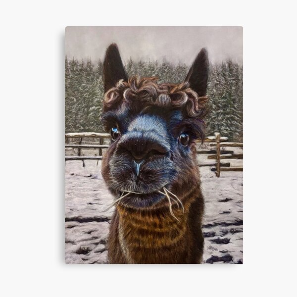 Item preview, Alpaca in winter designed and sold by NathBros.