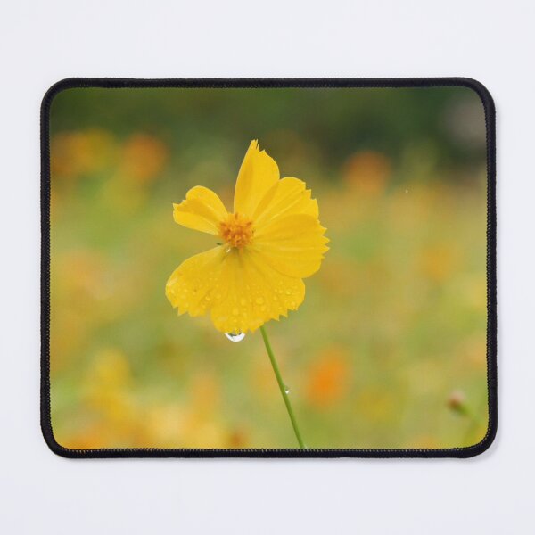 Item preview, Golden Petals After the Rain designed and sold by Glam-OOTD.