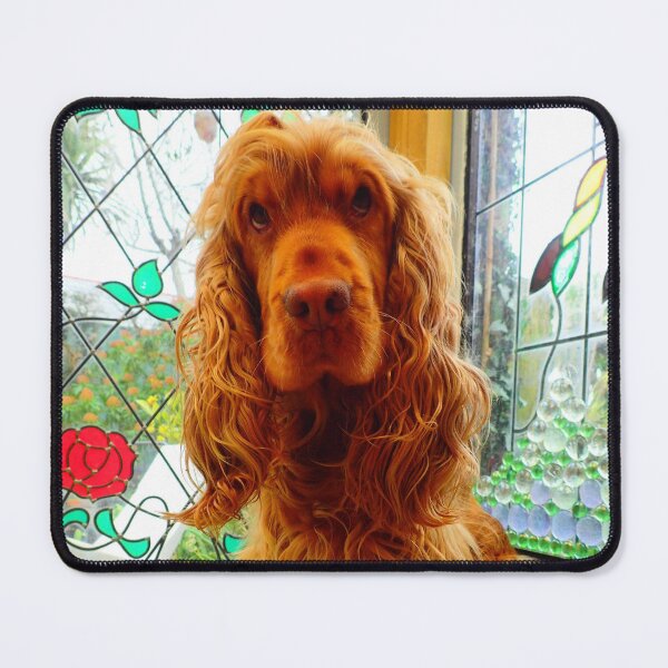Item preview, In The Potting Shed Cocker. Spaniel  designed and sold by Hazel Jones - Rhodes .