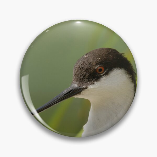Item preview, Amazing Avocets designed and sold by miradorpictures.