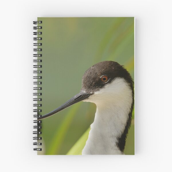 Item preview, Amazing Avocets designed and sold by miradorpictures.
